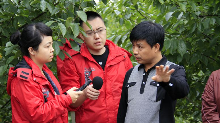 “报废车翻新买卖市场内幕：待售车辆很多挂假牌”